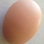 mise-en-place-egg