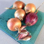 mise-en-place-onion-garlic